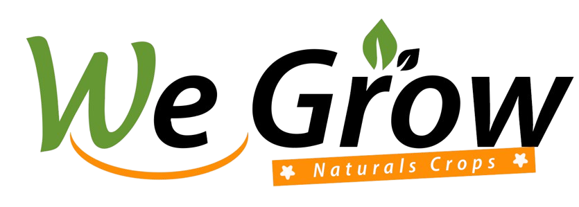 WhatsApp_Image_2026 03 02_at_2.55.13_PM removebg preview